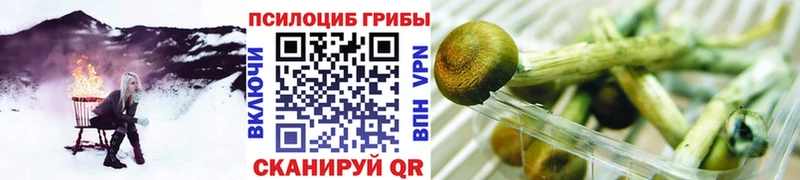 blacksprut ссылки  Заозёрный  Галлюциногенные грибы GOLDEN TEACHER 
